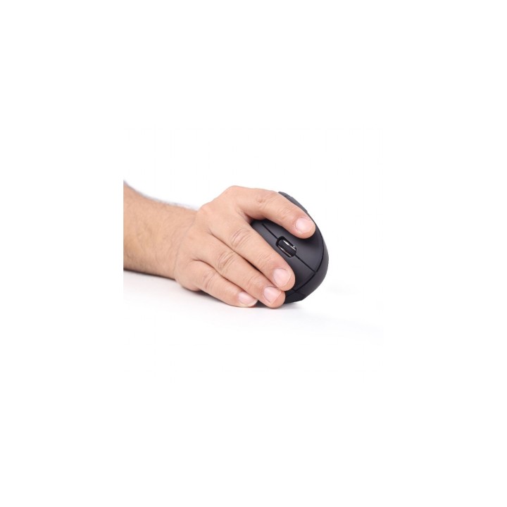 Raton Gembird MUSW-ERGO-01 ratón mano derecha RF inalámbrico Í“ptico 1600 DPI MUSW-ERGO-01