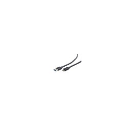 GEMBIRD cable USB C Macho/USB A Macho 1,8 m Negro
