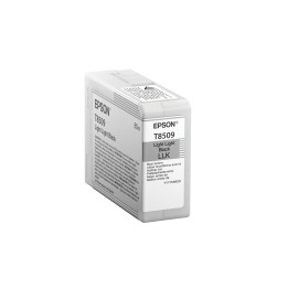 Cartucho Epson Singlepack Light Light Black T850900 C13T850900