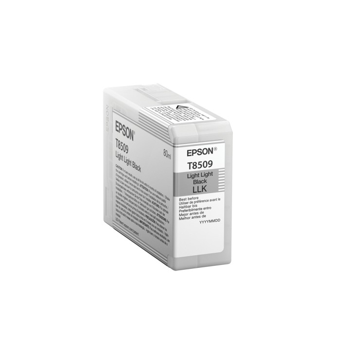 Cartucho Epson Singlepack Light Light Black T850900 C13T850900