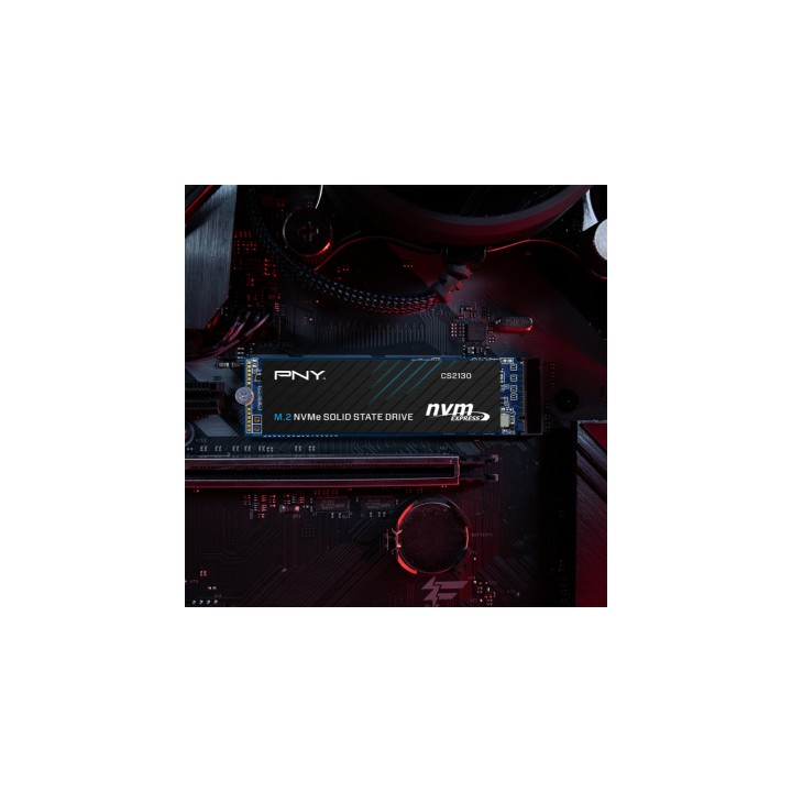 PNY Disco SSD M.2 20003 GB PCI Express 3.0 3D NAND NVMe