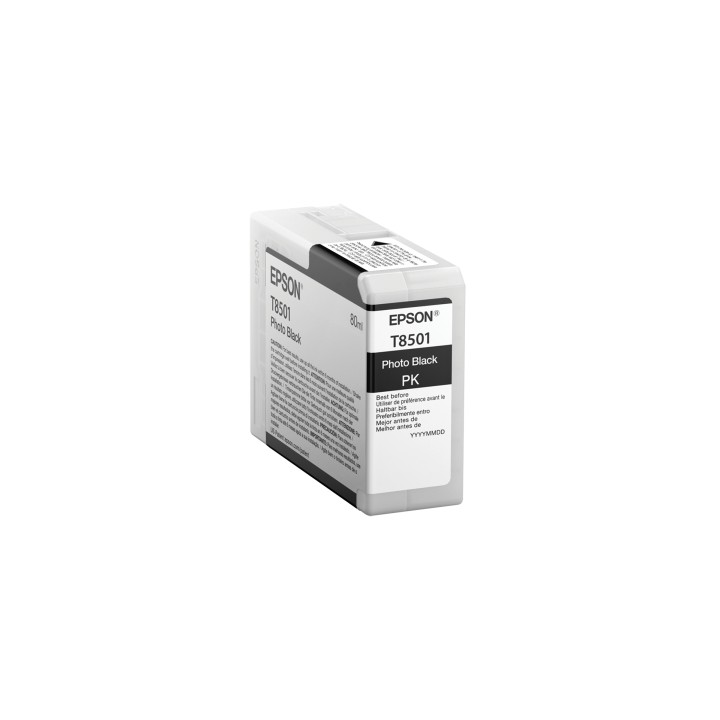 Cartucho Epson Singlepack Photo Black T850100 C13T850100