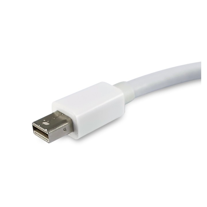 Equip cable gender changer Mini DisplayPort, DisplayPort Blanco