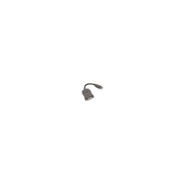 Lenovo cable gender changer DVI-D DisplayPort 0,2 m
