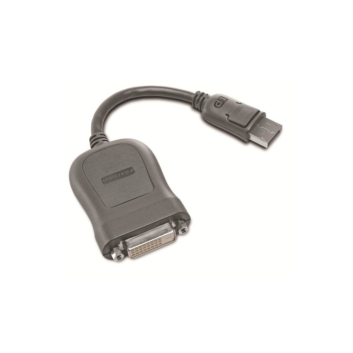 Lenovo cable gender changer DVI-D DisplayPort 0,2 m