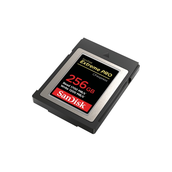 SanDisk Memoria flash 256 GB CFexpress