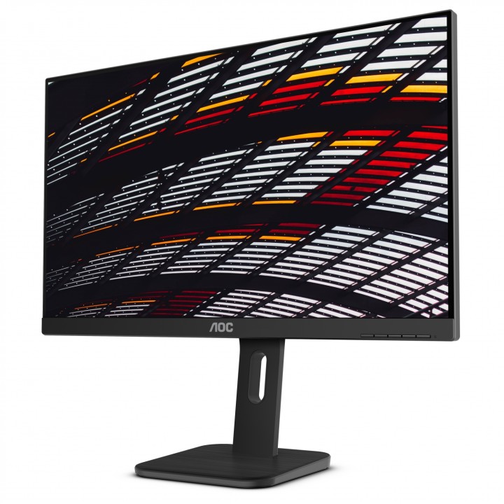 AOC Pro-line X24P1 monitor 24p negro