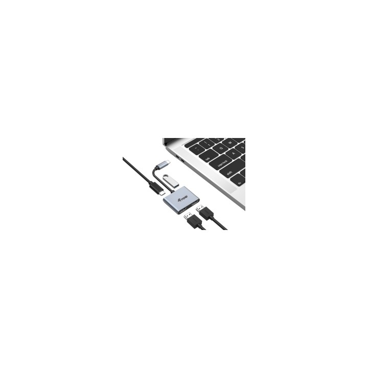 Equip HUB de interfaz USB 3.2 Gen 1 (3.1 Gen 1) Type-C 5000 Mbit/s Plata