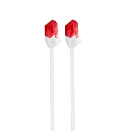 Ewent IM1037 Latiguilo de red rj45 Cat6 U/UTP 1m blanco