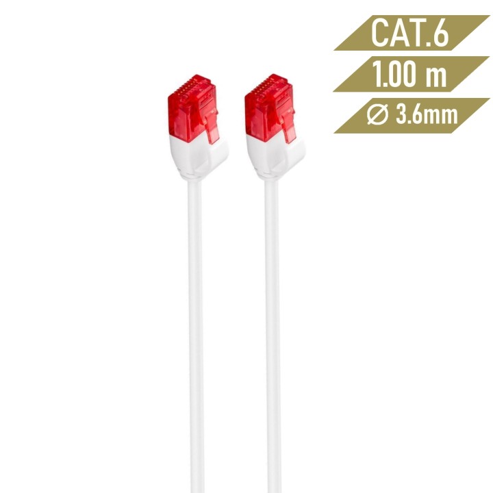 Ewent IM1037 Latiguilo de red rj45 Cat6 U/UTP 1m blanco