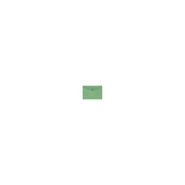 CARCHIVO 342K15 carpeta Polipropileno (PP) Verde A4