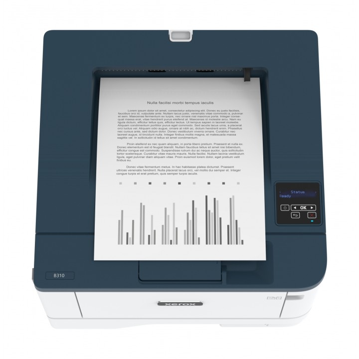 Xerox B310 Impresora laser duplex A4 PS3 PCL5e/6 2 bandejas azul blanco