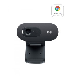 Cámara web Logitech C505 HD 1280 x 720 Pixeles USB Negro