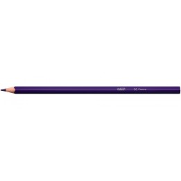 BIC 9641481 lápiz de color 24 pieza(s)