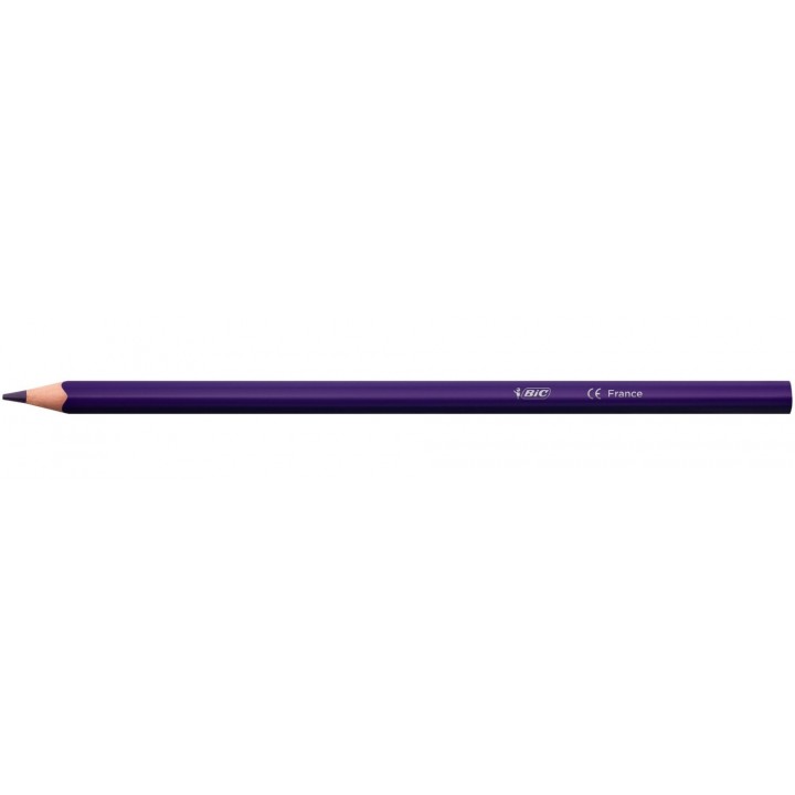 BIC 9641481 lápiz de color 24 pieza(s)