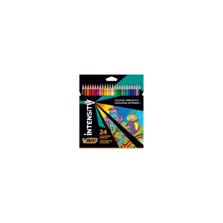 BIC 9641481 lápiz de color 24 pieza(s)