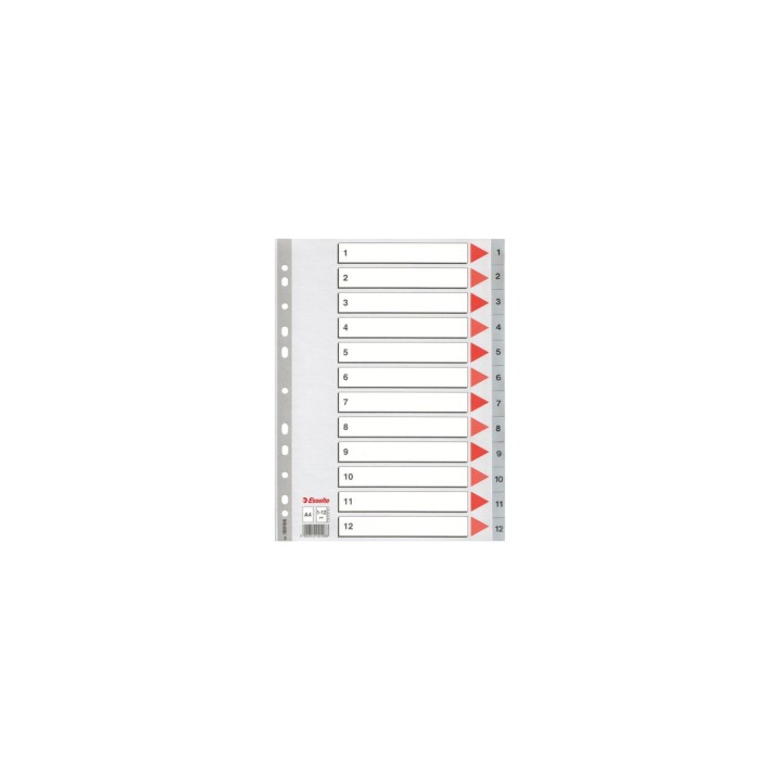 Esselte Plastic indexes