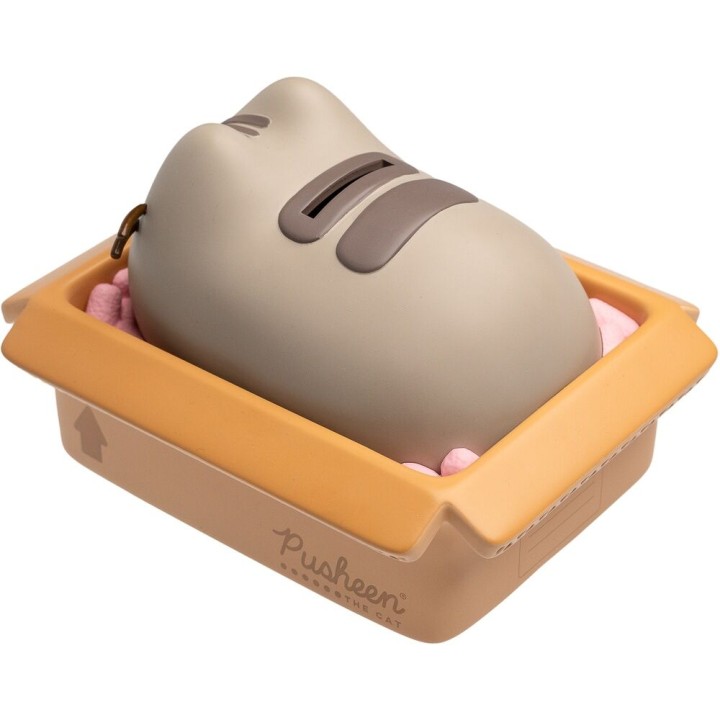 Hucha Pusheen
