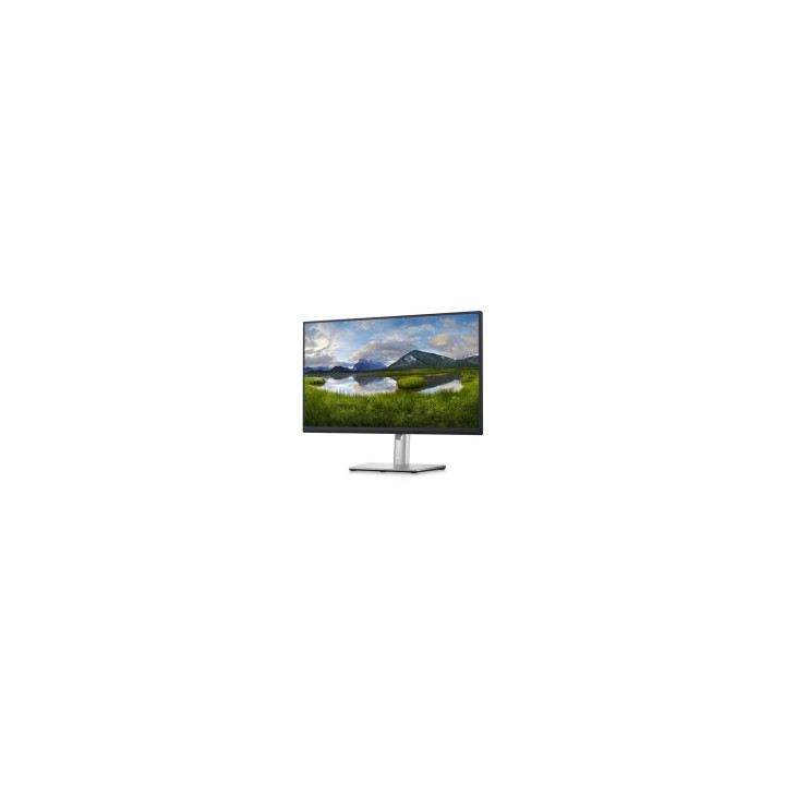 DELL P Series Monitor 24 con concentrador USB-C: P2423DE