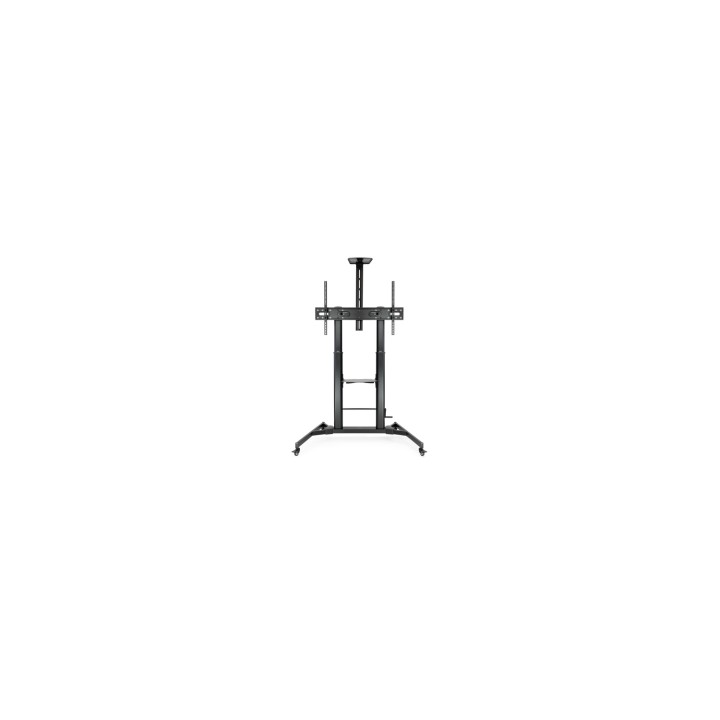 TooQ ZEUS 2,54 m (100") Negro