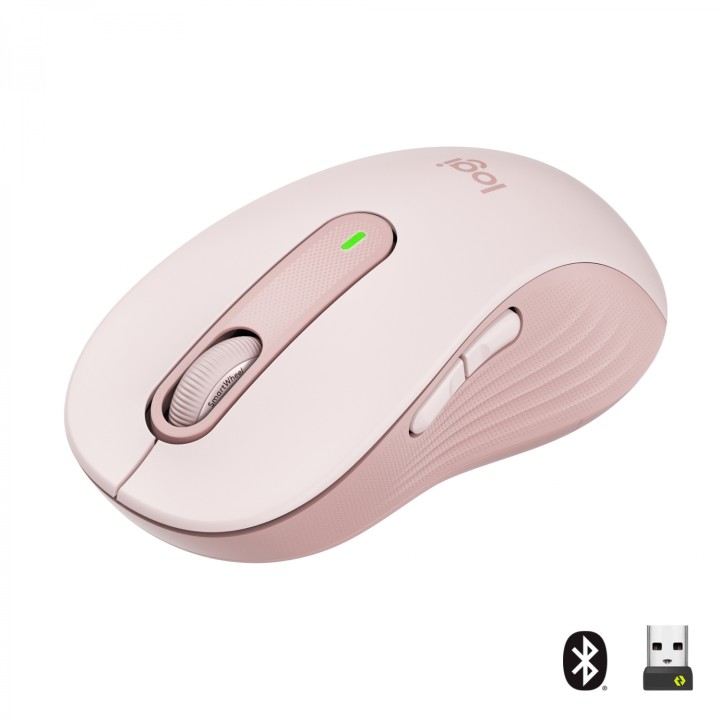 Logitech Signature M650 ratón mano derecha RF Wireless + Bluetooth Í“ptico 2000 DPI