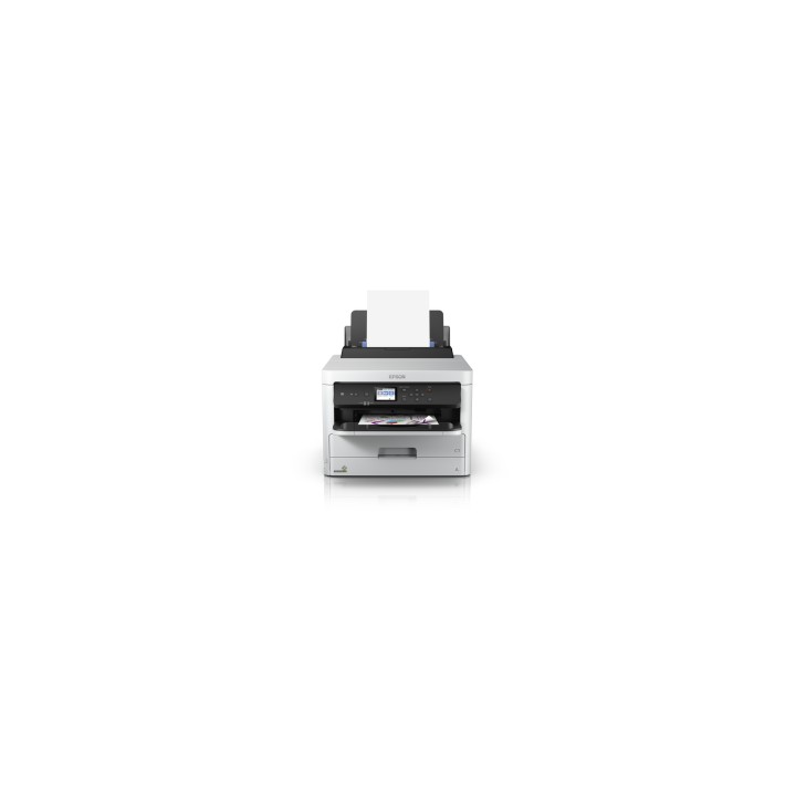 Epson DURABrite Pro