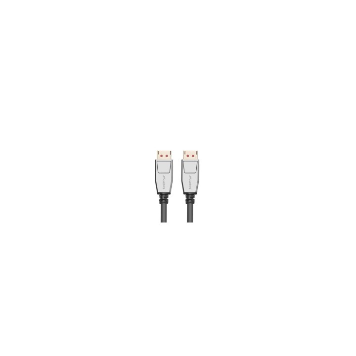 Lanberg CA-DPDP-20CU-0010-BK cable DisplayPort 1 m Negro, Plata
