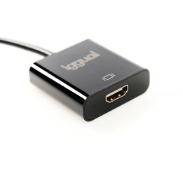 iggual IGG318041 adaptador de cable de vÍ­deo 0,25 m DisplayPort HDMI Negro