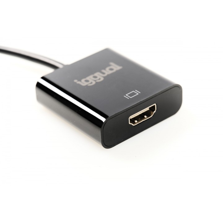 iggual IGG318041 adaptador de cable de vÍ­deo 0,25 m DisplayPort HDMI Negro