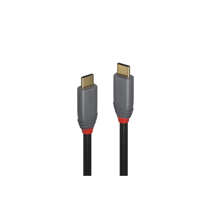 Lindy 36901 cable USB 1 m USB C Negro, Gris