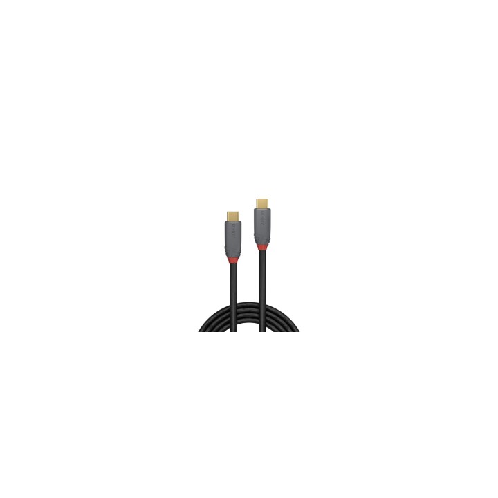Lindy 36901 cable USB 1 m USB C Negro, Gris