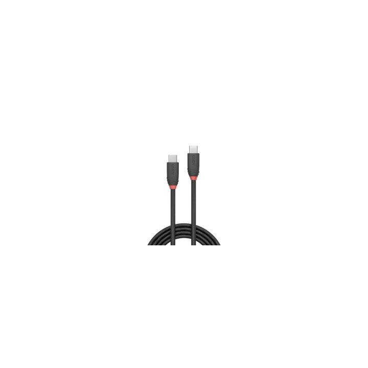 Lindy 36906 cable USB 1 m USB 3.2 Gen 1 (3.1 Gen 1) USB C Negro