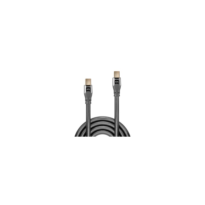Lindy 36307 cable DisplayPort 2 m Mini DisplayPort Gris