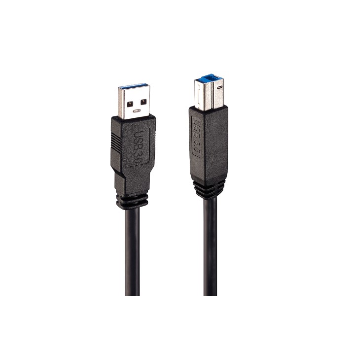 Lindy 43098 cable USB 10 m USB 3.2 Gen 1 (3.1 Gen 1) USB A USB B Negro