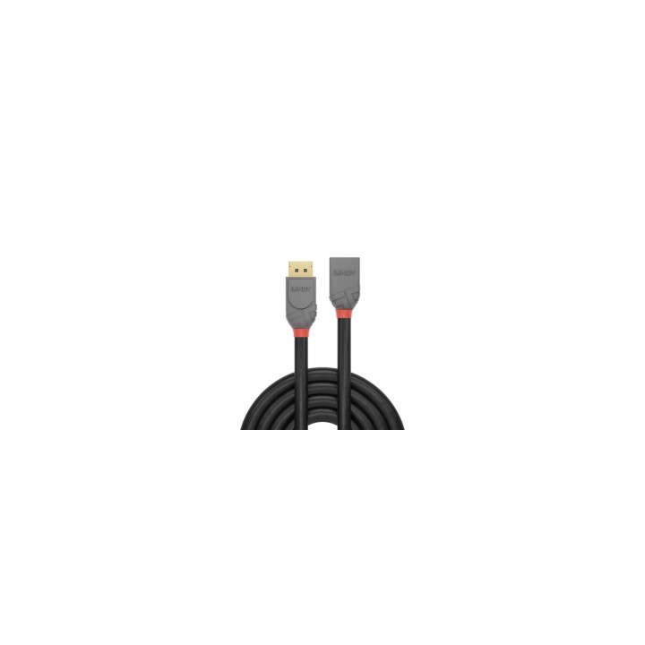 Lindy 36496 cable DisplayPort 1 m Negro
