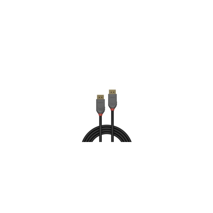 Lindy 36482 cable DisplayPort 2 m Negro
