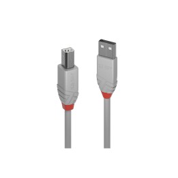 Lindy 36683 cable USB 2 m USB 2.0 USB A USB B Gris