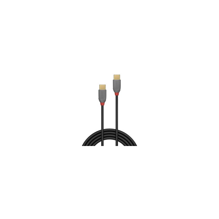 Lindy 36873 cable USB 3 m USB 2.0 USB C Negro, Gris
