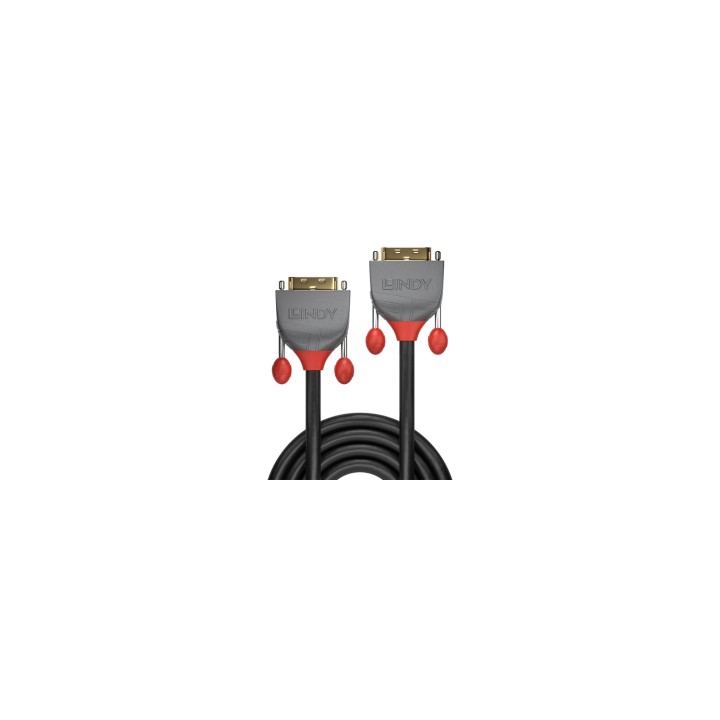 Lindy 36221 cable DVI 1 m DVI-D Negro
