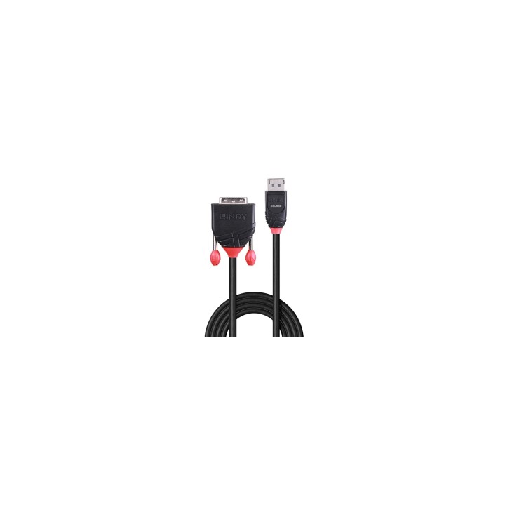 Lindy 41491 adaptador de cable de vÍ­deo 2 m DisplayPort HDMI Negro