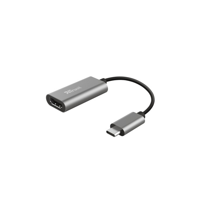 Trust Dalyx Adaptador gráfico USB Gris
