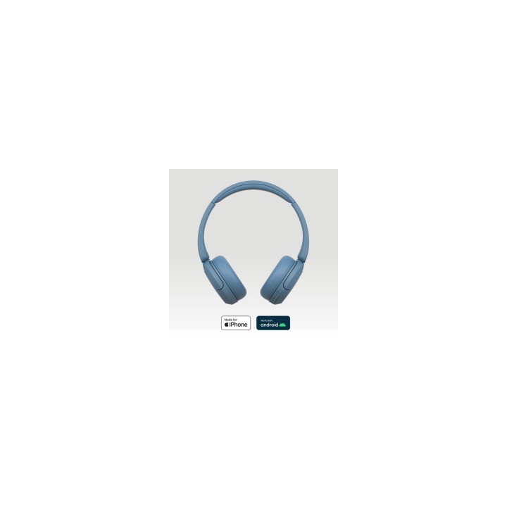 Sony WH-CH520 Auriculares Inalámbrico Diadema Llamadas/Música USB Tipo C Bluetooth Azul