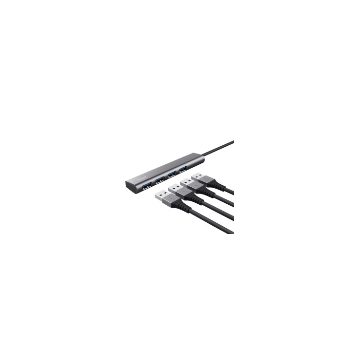 Trust Halyx USB 3.2 Gen 1 (3.1 Gen 1) Type-A 5 Mbit/s Gris