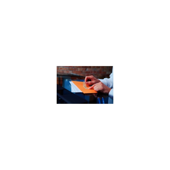 DYMO LW - Etiquetas grandes para direcciones - 36 x 89 mm - S0722410