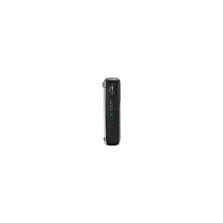 Aiwa RS-33 radio Portátil Analógica Negro