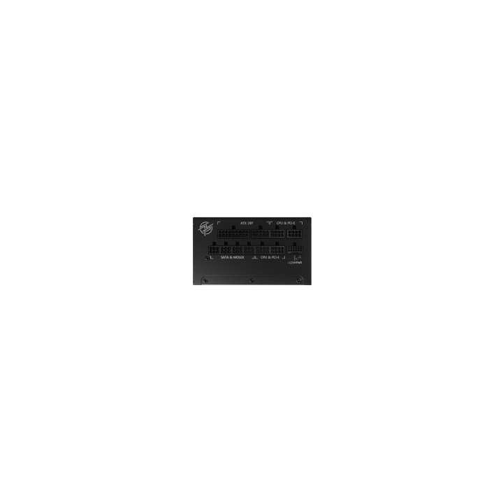 MSI MPG A1000G PCIE5 unidad de fuente de alimentación 1000 W 20+4 pin ATX ATX Negro