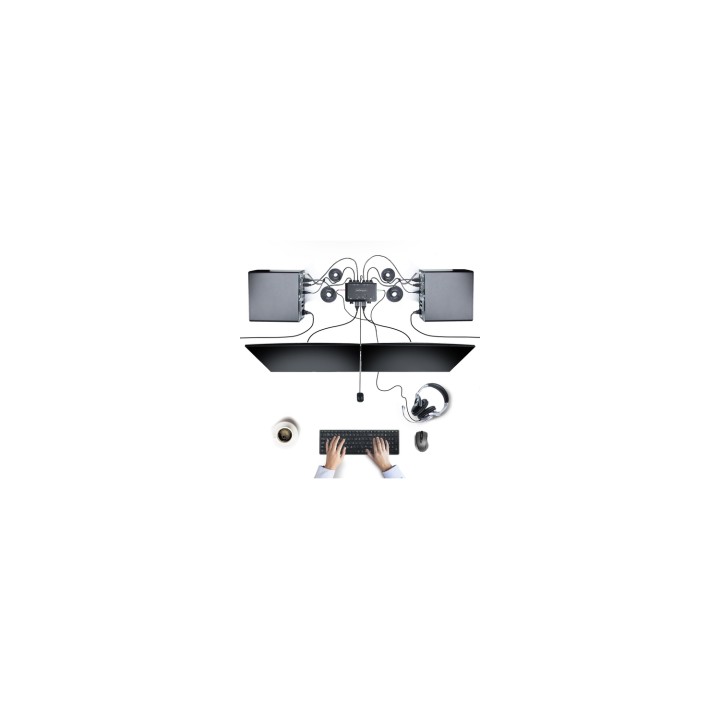 StarTech.com C2-DH46-UA2-CBL-KVM interruptor KVM Negro