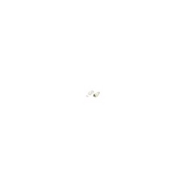 Equip 121175 conector RJ-45 Transparente, Blanco