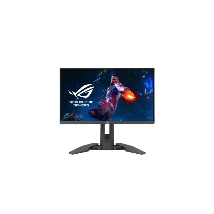 ASUS ROG Swift PG248QP pantalla para PC 61,2 cm (24.1") 1920 x 1080 Pixeles Full HD LCD Negro