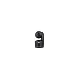 AVer DL10 2 MP Negro 1920 x 1080 Pixeles 60 pps CMOS 25,4 / 2,8 mm (1 / 2.8")